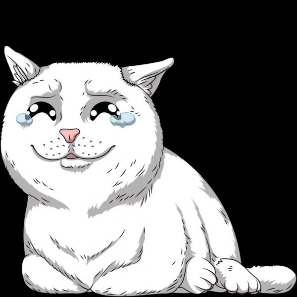 Ảnh mèo khóc cute
