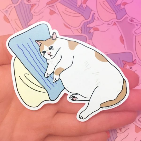 Ảnh mèo khóc nằm
