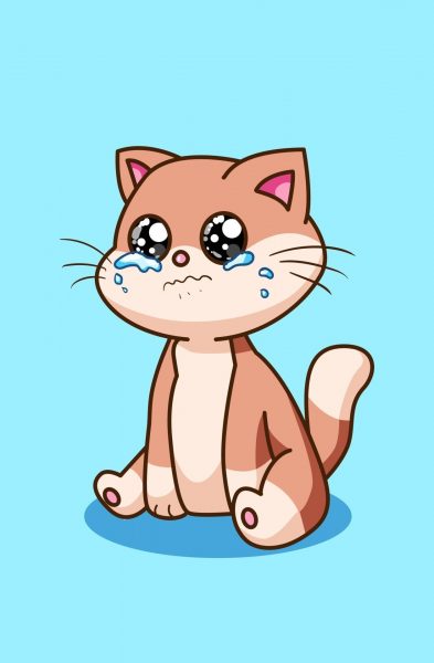 Ảnh mèo khóc ngồi