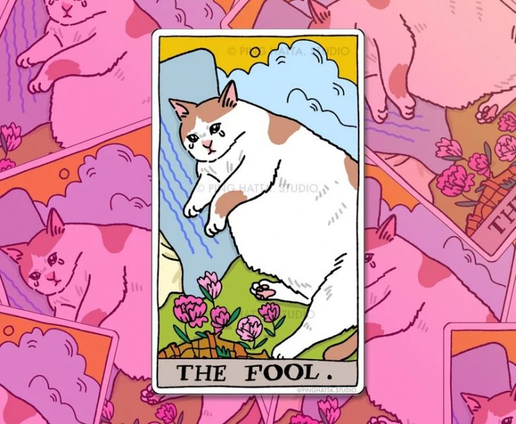 Ảnh mèo khóc tarot