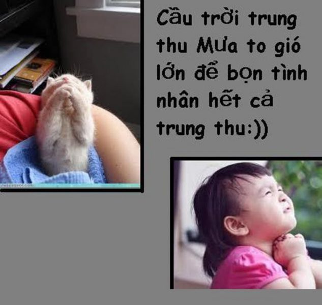 ảnh lập đàn cầu mưa trung thu