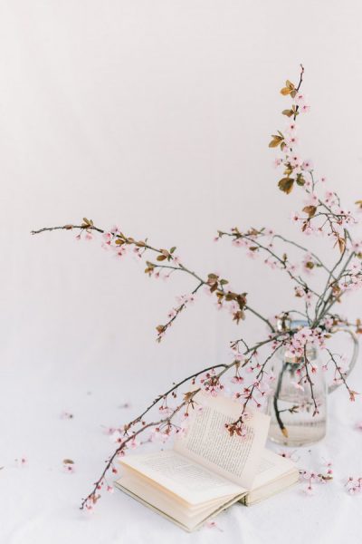 Ảnh nền cây đào chụp nghệ thuật dành cho màn hình điện thoại