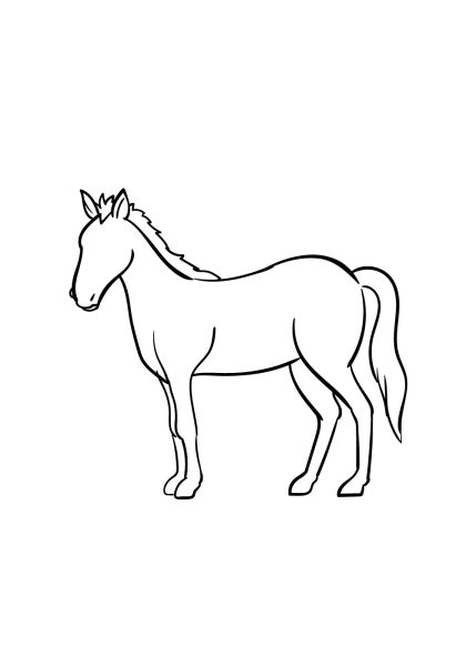Cách vẽ con ngựa đơn giản, dễ nhất với bước 5