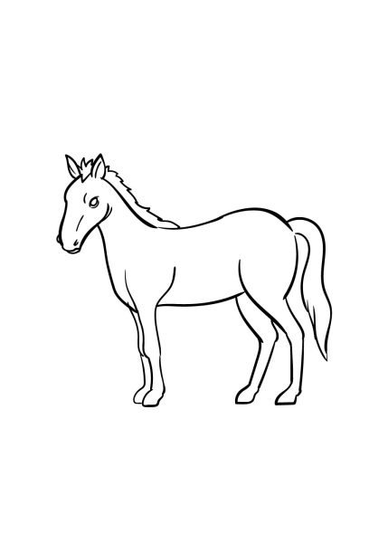 Cách vẽ con ngựa đơn giản, dễ nhất với bước 6