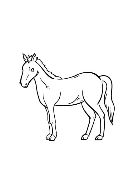 Cách vẽ con ngựa đơn giản, dễ nhất với bước 7