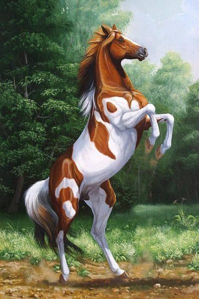 vẽ con ngựa 3D