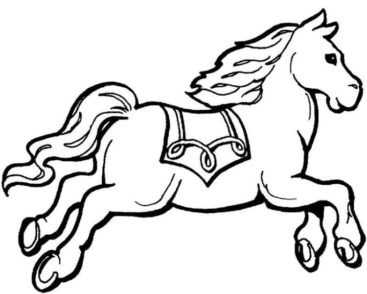 vẽ con ngựa cơ bắp cuồn cuộn