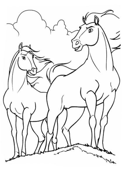 vẽ con ngựa có đôi có cặp